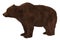 Grizzly Bear isolated on white background 3d illustration