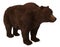 Grizzly Bear isolated on white background 3d illustration