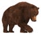 Grizzly Bear isolated on white background 3d illustration