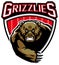 Grizzly bear mascot