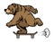 Grizzly bear riding skateboard