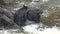 Grizzly bears catch jumping salmon. Close-up. Wildlife and Nature of North America. Mountain river waterfall, Alaska