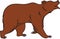 Grizzly Brown Bear Vector