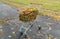 Grocery basket on the street. a supermarket cart sits on the ground covered with fallen leaves