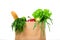 Grocery shop bag with vegetables, salad, bread and