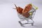 Grocery trolley with ugly carrot on white background. Concept environmental shopping, Copy space