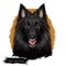 Groenendael shepherd, Belgian Sheepdog, Belgian Groenendael dog digital art illustration isolated on white background. Belgian