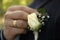 Groom arranging boutonniere flower on suit jacket