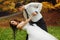 Groom bends bride over standing on the lawn in a park