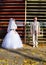 The groom and the bride near an iron lattice