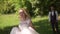 Groom comes to charming blonde bride with bouquet behind her. Slow motion