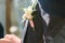 Groom in dark gray suit with a white rose boutonniere. Close up shot in sun beams