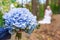 The groom holds a blue wedding bouquet. Wedding bouquet closeup. The bride in a white wedding dress at a background