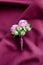 Groom`s boutonniere made of peonies on a purple fabric background. wedding details and accessories