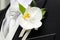 Groom\'s Corsage