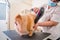 Groomer blow dry a Pomeranian dog after washing in at grooming salon