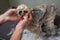 Groomer woman washing spitz dog with shampoo.