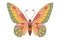 Groovy butterfly. Hippie 60s 70s retro style. Yellow, pink green colors.