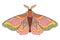 Groovy butterfly. Hippie 60s 70s retro style. Yellow, pink green colors.