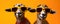 Groovy Goats in Shades: A Colorful Twist on Farmyard Chic. Generative AI