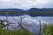 Gros Morne Pond Reflections