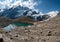 Grossglockner mountain lake rocks and yellow flowers in the foreground in the Austrian Alps in the Hohe Tauern mountains