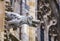 Grotesque gargoyle water spout sculpture on facade of gothic medieval St. Stephen`s Cathedral or Stephansdom in Vienna, Austria