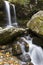 Grotto Falls in Autumn, Great Smoky Mountains NP