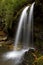 Grotto Falls in Great Smoky Mountains NP