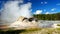 Grotto Geyser Yellowstone National Park