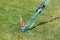 Ground anchoring tightened tension belt with a ratchet in a meadow in Germany