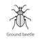 Ground beetle color icon
