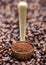 Ground coffee in golden steel scoop on fresh coffee beans background