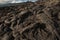 Ground covered in outcrops and tree barks with hills on the background under the sunlight