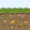 Ground cutaway with worms and food scraps. Pink earthworms in garden soil. Recycling organic waste. Farming and agriculture