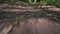 Ground level perspective of walking on footpath in the green forest