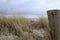 Ground-level photograph of a sand dune with a view of the sea