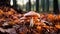 A ground-level shot of a cluster of mushrooms growing amidst fallen autumn leaves