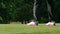 Ground level shot of golfers legs as he takes a practice swing - Slow motion.