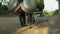 Ground-level view on hawker with bicycle carrying big load of household goods going on selling down a rural road