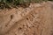 Ground level view horizontal MCU muddy jungle road with mound of mud at left and vegetation