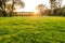 Ground level view of a well maintained and  recently cut lawn seen within a large garden just before sunset