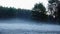 Ground mist in frozen forest of Zonnebeek estate in the Netherlands