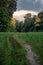 A ground pathway among green grass and trees against the dark stormy clouds at the setting sun. Rural scenery in the evening