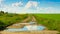 Ground road in  field with puddles in which clouds are displayed_