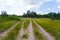 Ground road among a green prairie