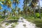 Ground road through the palm trees. Dominican