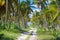 Ground road through the palm trees. Dominican republic