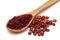 Ground Sumac in wooden spoon and sumac berries