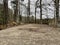 Ground view brick ruins green moldy wooden deck